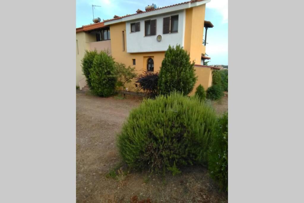 "Klio" Appartment Νικήτη Εξωτερικό φωτογραφία